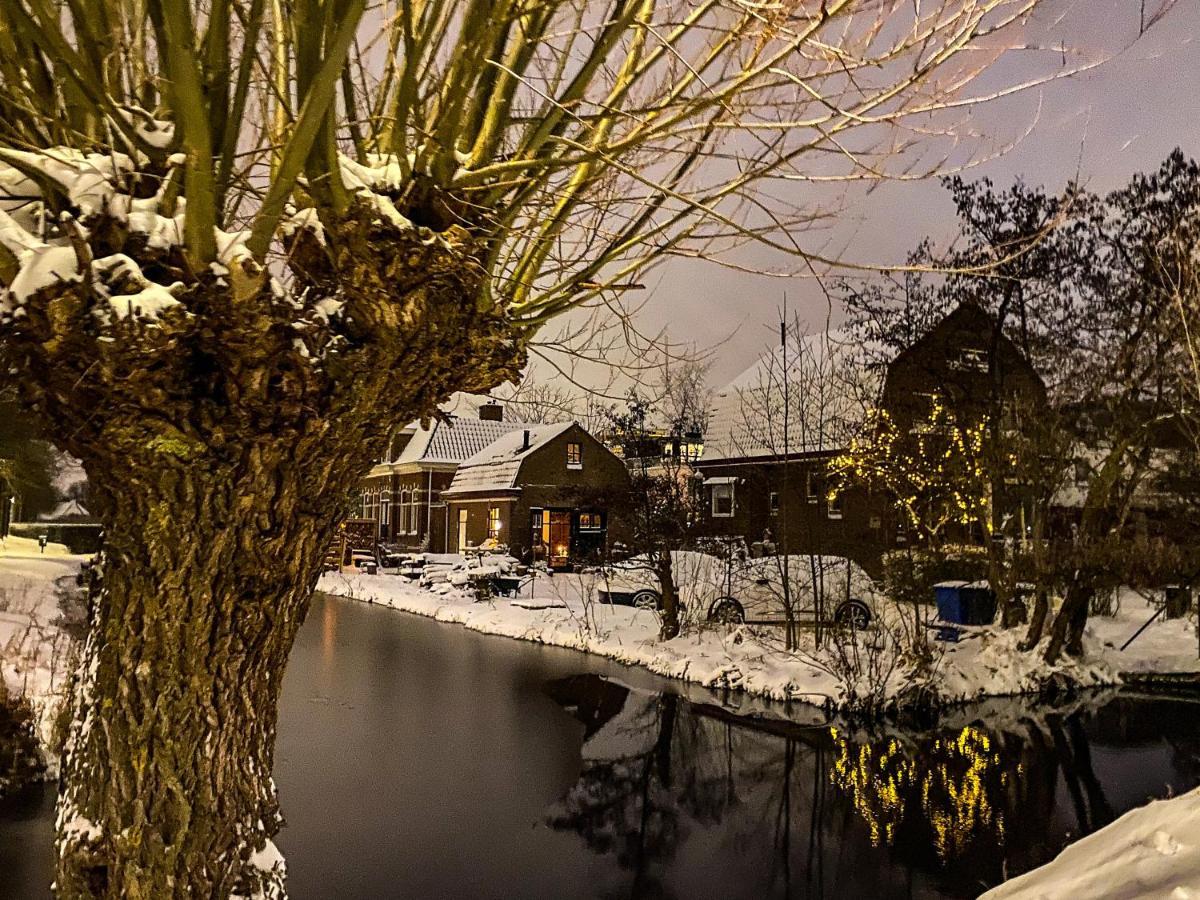 Guesthouse Rotterdam, Tinyhouse Nearby Kralingen Εξωτερικό φωτογραφία