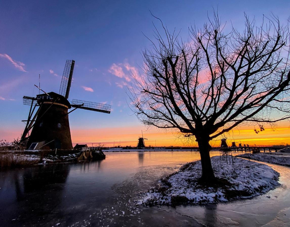 Guesthouse Rotterdam, Tinyhouse Nearby Kralingen Εξωτερικό φωτογραφία